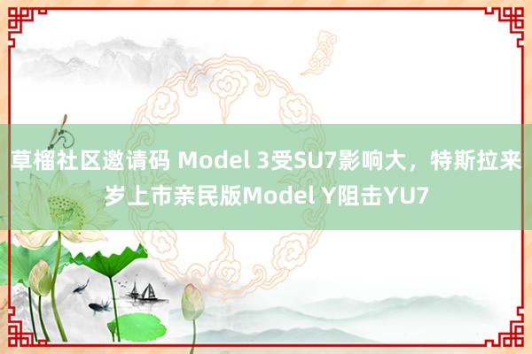 草榴社区邀请码 Model 3受SU7影响大，特斯拉来岁上市亲民版Model Y阻击YU7