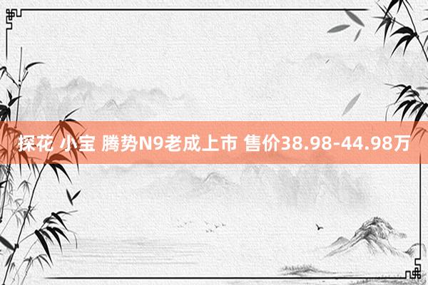 探花 小宝 腾势N9老成上市 售价38.98-44.98万