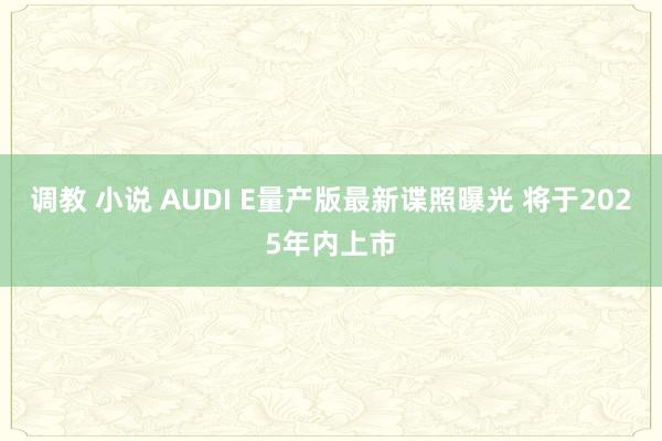 调教 小说 AUDI E量产版最新谍照曝光 将于2025年内上市
