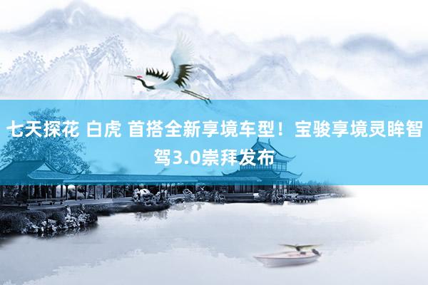 七天探花 白虎 首搭全新享境车型！宝骏享境灵眸智驾3.0崇拜发布