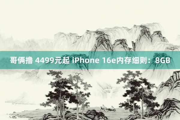 哥俩撸 4499元起 iPhone 16e内存细则：8GB
