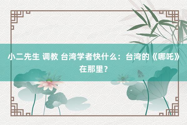 小二先生 调教 台湾学者快什么：台湾的《哪吒》在那里？