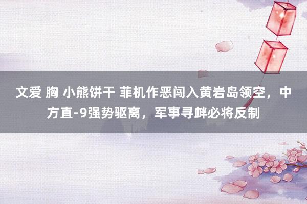 文爱 胸 小熊饼干 菲机作恶闯入黄岩岛领空，中方直-9强势驱离，军事寻衅必将反制