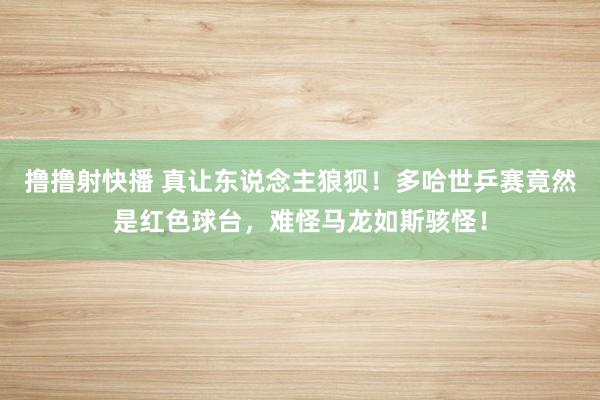 撸撸射快播 真让东说念主狼狈！多哈世乒赛竟然是红色球台，难怪