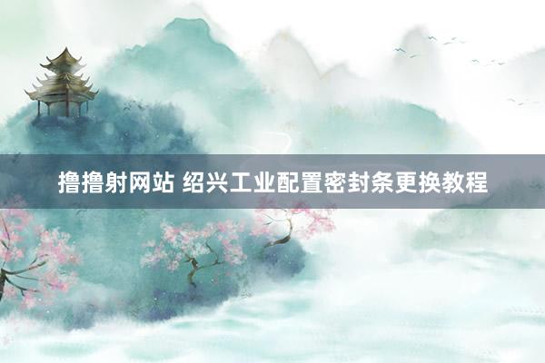 撸撸射网站 绍兴工业配置密封条更换教程