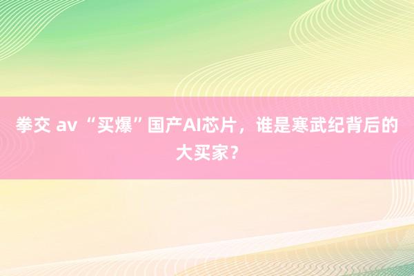 拳交 av “买爆”国产AI芯片，谁是寒武纪背后的大买家？
