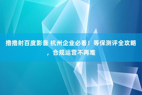 撸撸射百度影音 杭州企业必看！等保测评全攻略，合规运营不再难