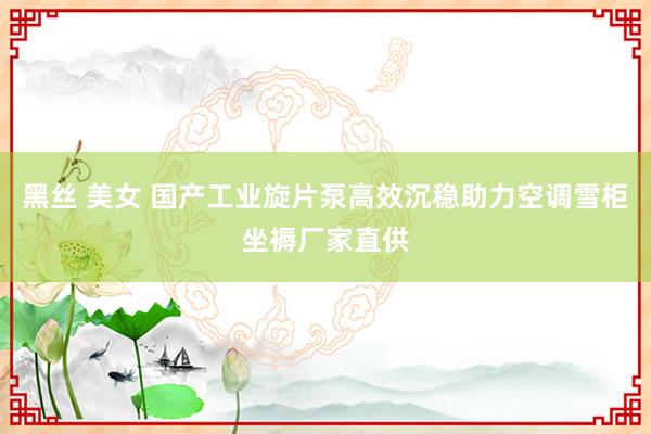 黑丝 美女 国产工业旋片泵高效沉稳助力空调雪柜坐褥厂家直供