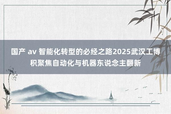 国产 av 智能化转型的必经之路2025武汉工博积聚焦自动化