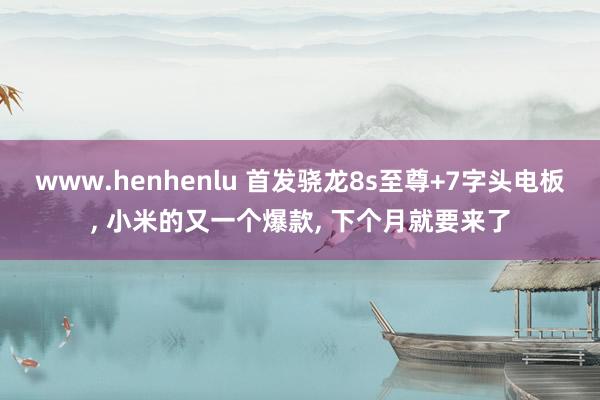 www.henhenlu 首发骁龙8s至尊+7字头电板, 小