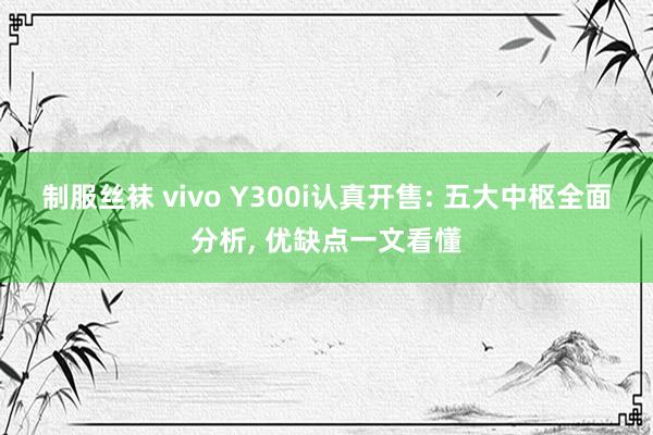 制服丝袜 vivo Y300i认真开售: 五大中枢全面分析,