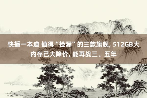 快播一本道 值得“捡漏”的三款旗舰, 512GB大内存已大降价, 能再战三、五年
