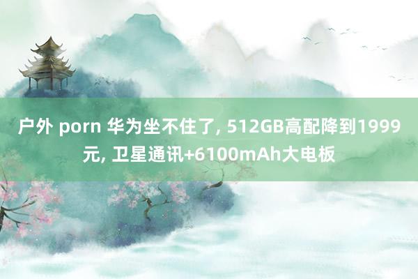 户外 porn 华为坐不住了, 512GB高配降到1999元, 卫星通讯+6100mAh大电板
