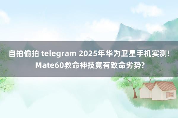 自拍偷拍 telegram 2025年华为卫星手机实测! M