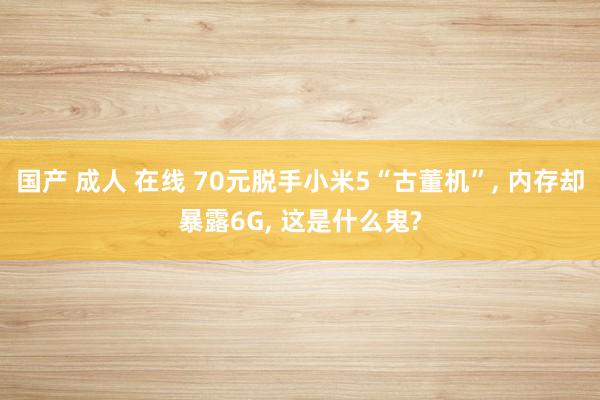 国产 成人 在线 70元脱手小米5“古董机”, 内存却暴露6G, 这是什么鬼?