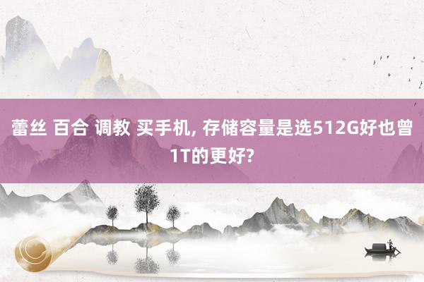 蕾丝 百合 调教 买手机, 存储容量是选512G好也曾1T的更好?