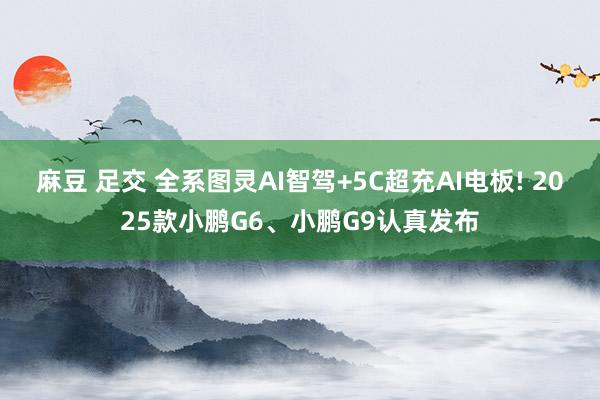麻豆 足交 全系图灵AI智驾+5C超充AI电板! 2025款