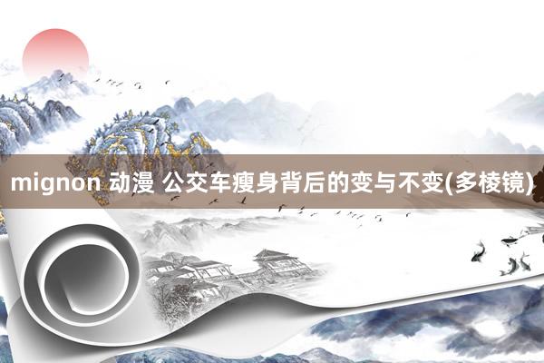 mignon 动漫 公交车瘦身背后的变与不变(多棱镜)
