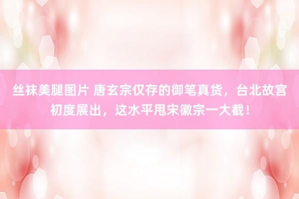 丝袜美腿图片 唐玄宗仅存的御笔真货，台北故宫初度展出，这水平甩宋徽宗一大截！
