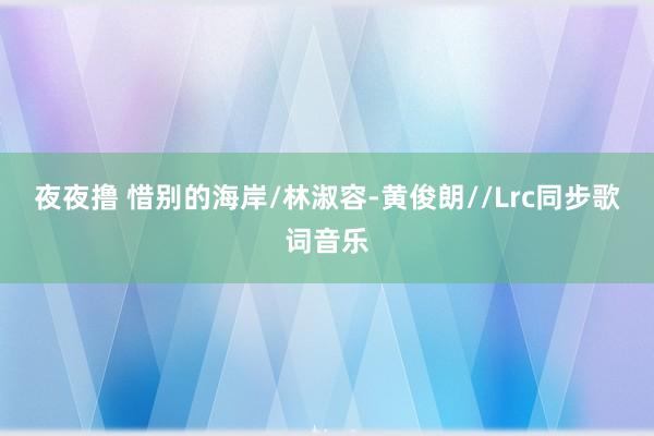 夜夜撸 惜别的海岸/林淑容-黄俊朗//Lrc同步歌词音乐