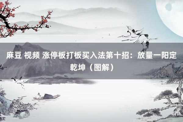 麻豆 视频 涨停板打板买入法第十招：放量一阳定乾坤（图解）