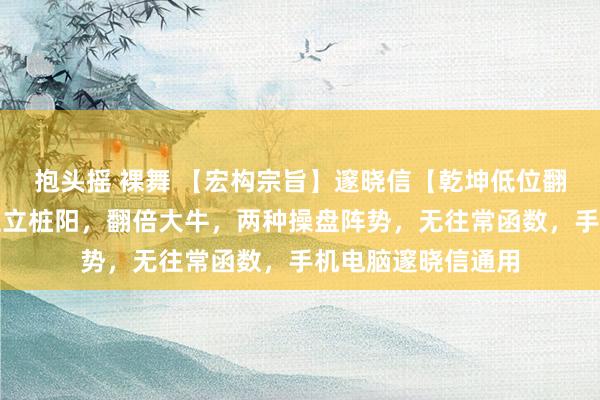 抱头摇 裸舞 【宏构宗旨】邃晓信【乾坤低位翻倍】宗旨，持低位