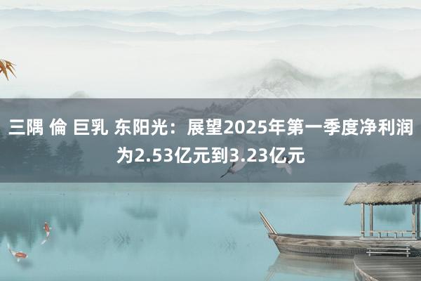 三隅 倫 巨乳 东阳光：展望2025年第一季度净利润为2.5