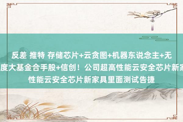 反差 推特 存储芯片+云贪图+机器东说念主+无东说念主驾驶+国度大基金合手股+信创！公司超高性能云安全芯片新家具里面测试告捷