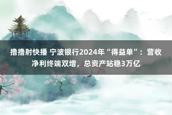 撸撸射快播 宁波银行2024年“得益单”：营收净利终端双增，