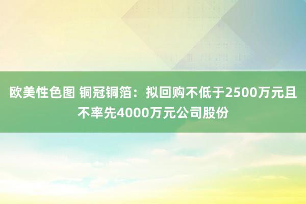 欧美性色图 铜冠铜箔：拟回购不低于2500万元且不率先4000万元公司股份
